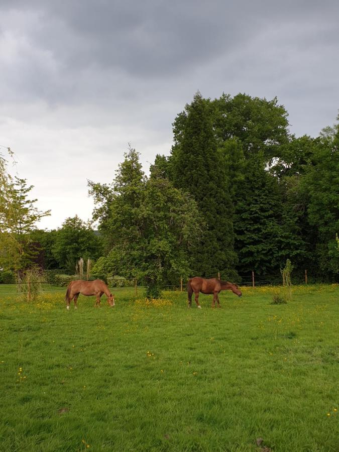 Chambre D'Hote Normande Freneuse-Sur-Risle Eksteriør bilde